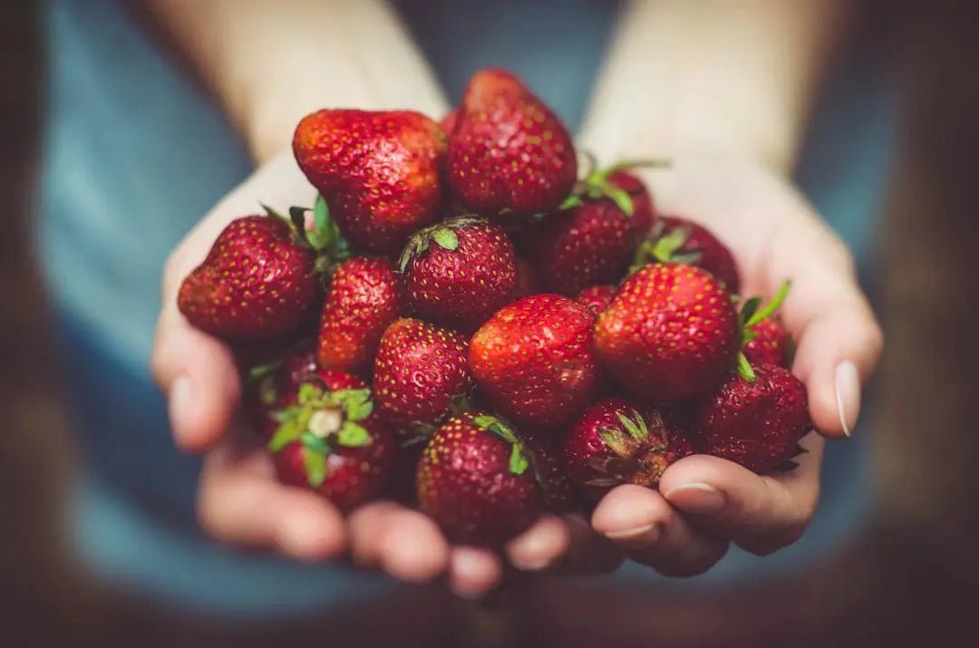 The Vital Role of Vitamins in Achieving a Balanced Diet - Faithful Nutrition