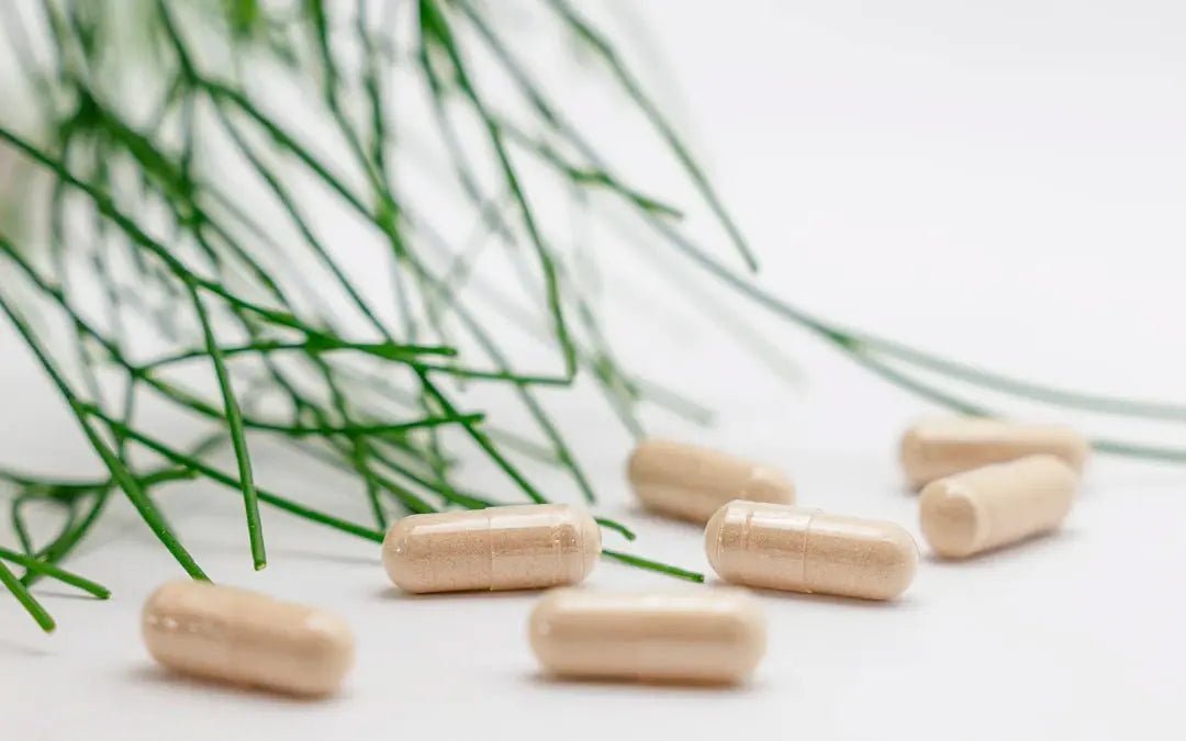 Unlocking the World of Supplements: Your Guide to Optimal Health - Faithful Nutrition