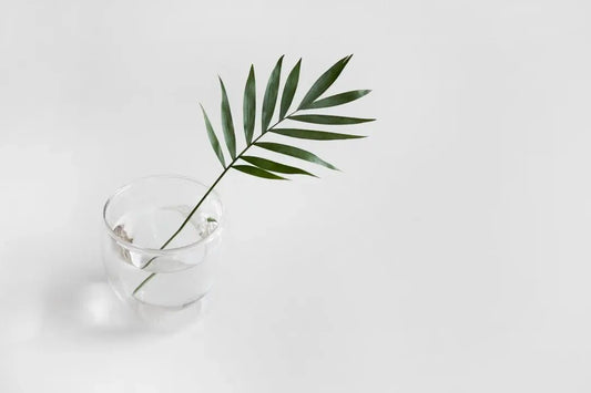Unlocking Wellness: Exploring Plant-Based Supplements for Optimal Health - Faithful Nutrition