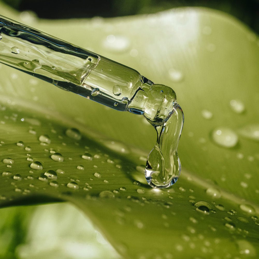 Palmarose Essential Organic Oil 15ml - Facial Oil - Faithful Nutrition