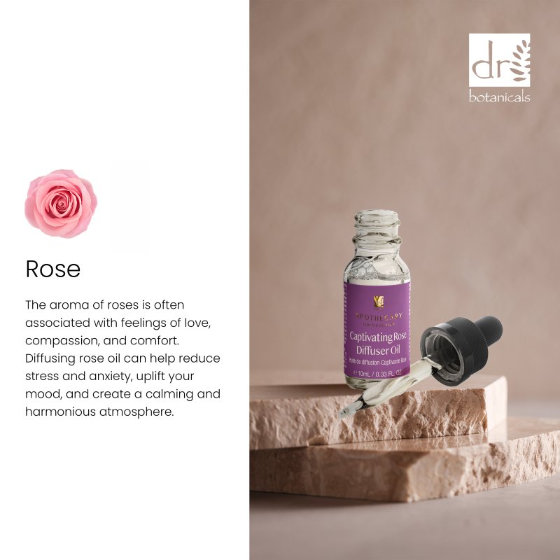 Captivating Rose Diffuser Oil 10ml - Faithful Nutrition
