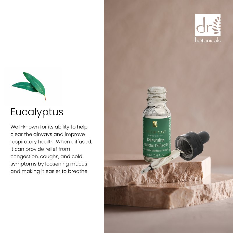 Rejuvenating Eucalyptus Diffuser Oil 10ml - Faithful Nutrition