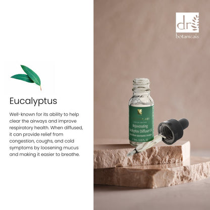 Rejuvenating Eucalyptus Diffuser Oil 10ml - Faithful Nutrition
