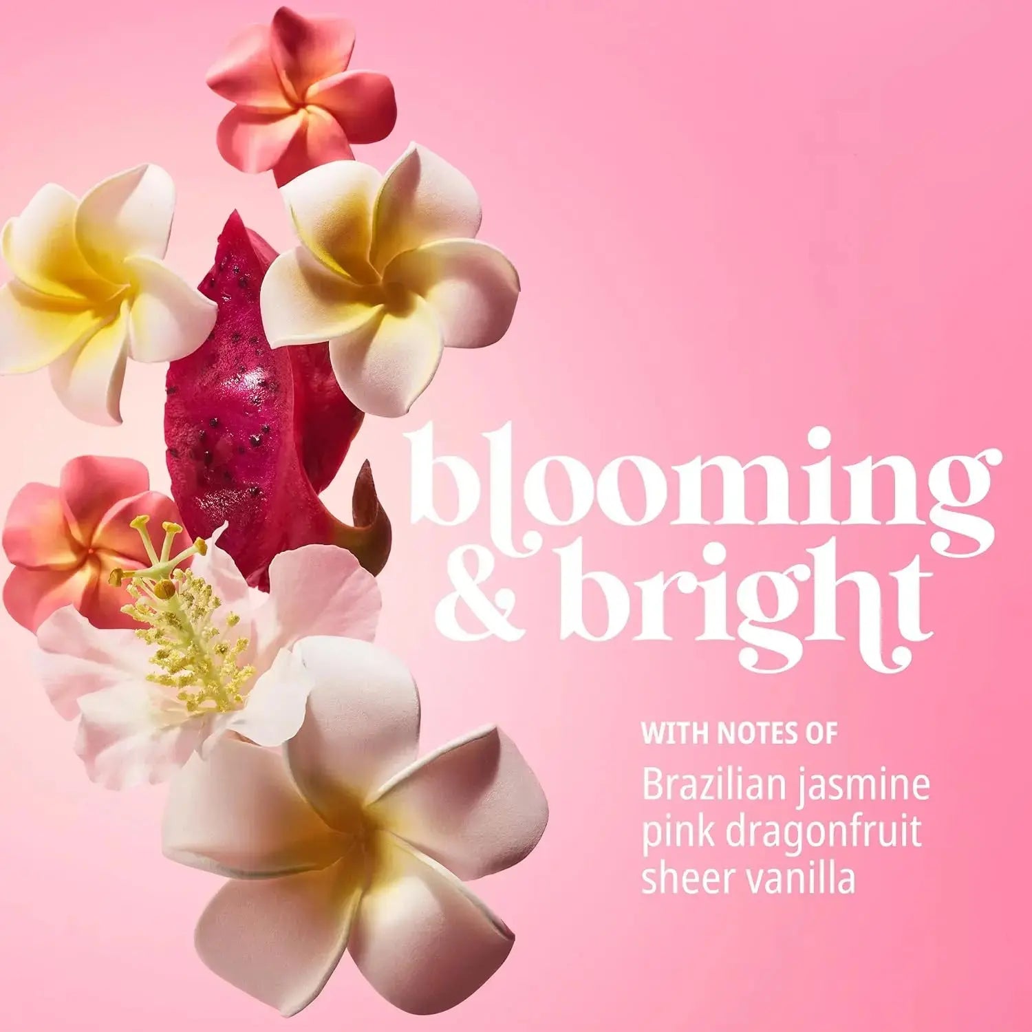 Sol de Janeiro Beija Flor Elasti - Cream 75ml - Faithful Nutrition