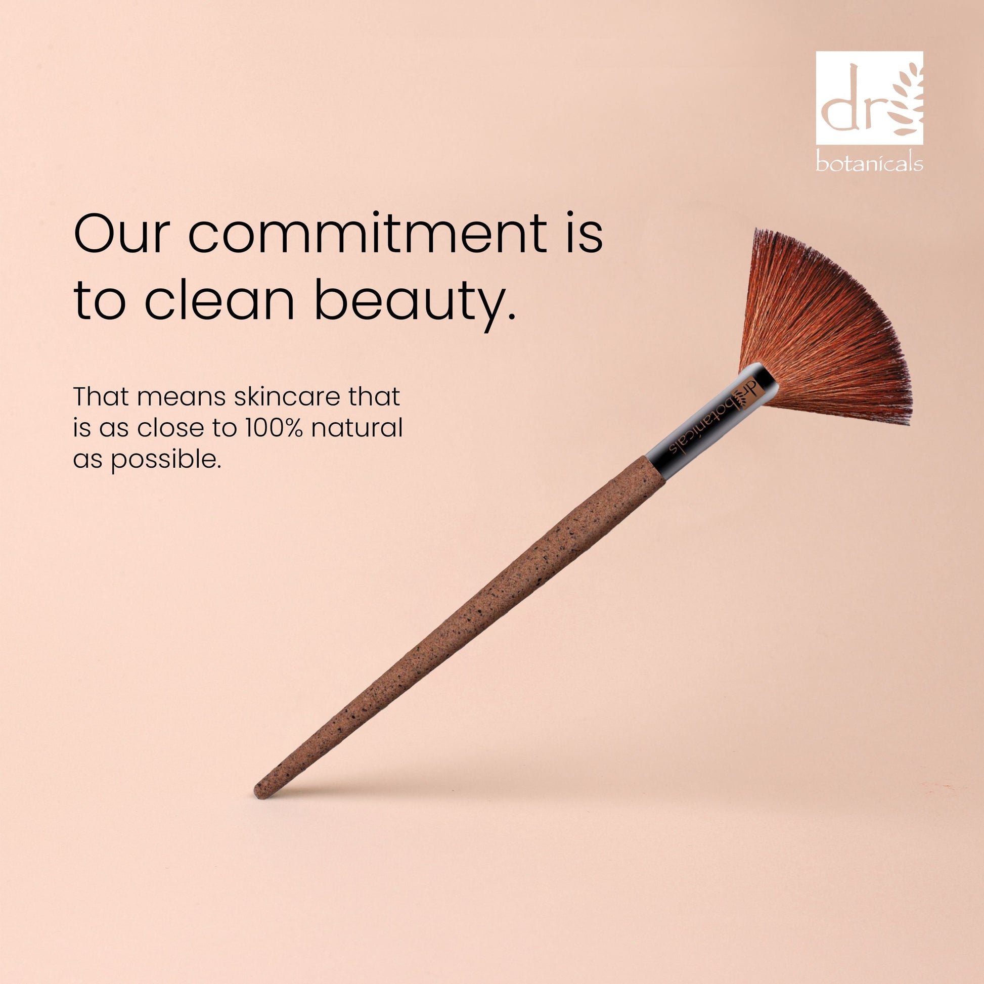 Dr Botanicals Coffee Ground Fan Brush Twin Value Savings Pack - Kit - Faithful Nutrition