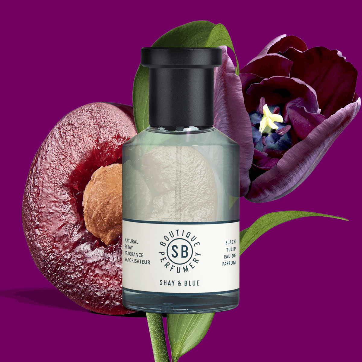 Black Tulip Fragrance 100ml - Natural Spray Fragrance - Faithful Nutrition